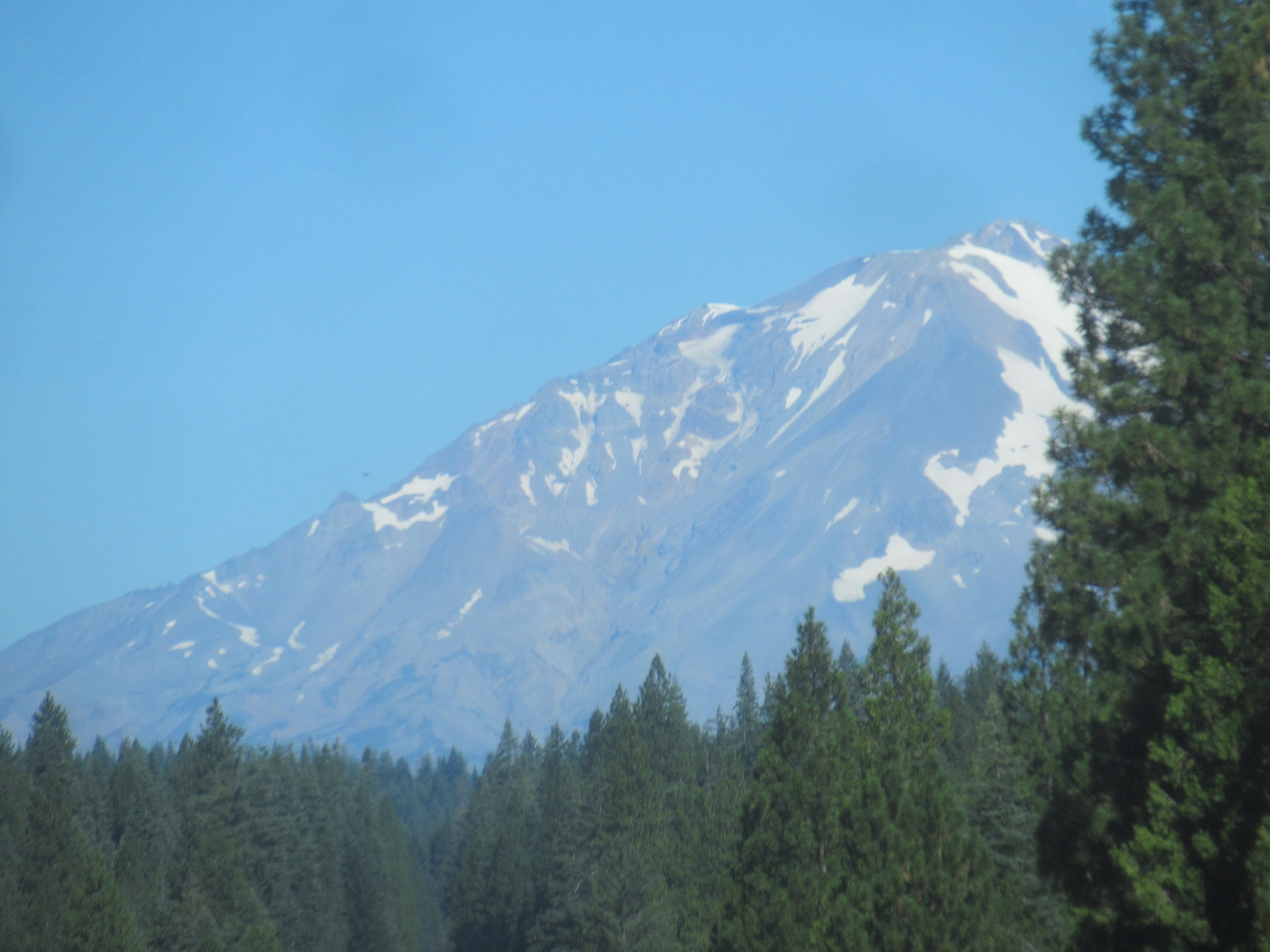 The first view of Mt. Shasta through the trees